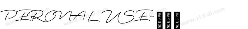 PERONAL USE字体转换